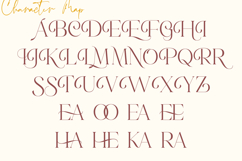 Emeralde - Chamerions Stylish Font Duo Product Image 6