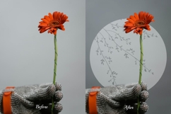 50 Leaves Shadow Overlays Product Image 8