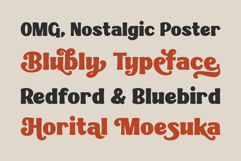 Blubly Product Image 8