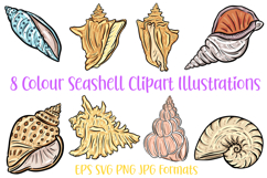 8 Seashell Clipart Illustrations Shells Ocean Collection SVG Product Image 2