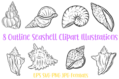 8 Seashell Clipart Illustrations Shells Ocean Collection SVG Product Image 3
