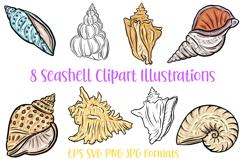 8 Seashell Shell Clipart Illustration Collection by Squeeb Creative
