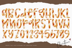 Preppy Stripe Fall Lace PNG Alphabet | Sublimation Font Product Image 3