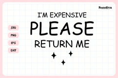 Funny Pet Tag Saying SVG | I'm Expensive Please Return Me Product Image 3