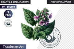 Medicinal Herbs clipart PNG, Apothecary Botanical Graphic Product Image 1