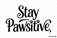 Stay Pawsitive Svg | Svg Cut Files | Digital Download Product Image 1