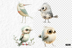 Nursery Summer Birds PNG Clipart Product Image 1