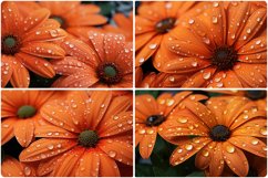 80 Color Flowers Texture Backgrounds Product Image 11