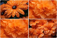 80 Color Flowers Texture Backgrounds Product Image 12