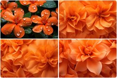 80 Color Flowers Texture Backgrounds Product Image 13