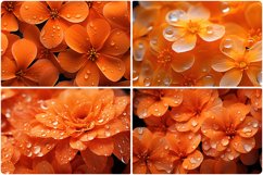 80 Color Flowers Texture Backgrounds Product Image 15