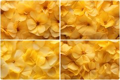 80 Color Flowers Texture Backgrounds Product Image 21