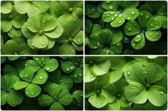 80 Color Flowers Texture Backgrounds Product Image 5