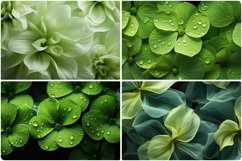 80 Color Flowers Texture Backgrounds Product Image 6