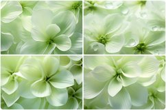 80 Color Flowers Texture Backgrounds Product Image 8