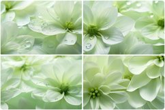 80 Color Flowers Texture Backgrounds Product Image 9