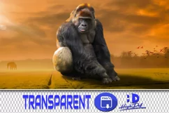 80 MONKEY TRANSPARENT PNG FILES, ANIMAL PHOTOSHOP OVERLAYS Product Image 1