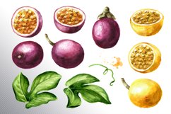 Passion fruit. Watercolor set Product Image 10