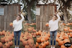 Pumpkin Mobile &amp; Desktop Lightroom Presets Product Image 4