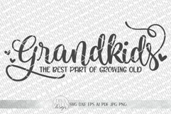Grandkids The Best Part Of Growing Old SVG | Farmhouse Sign Product Image 2
