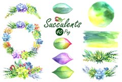 Watercolor Succulents Clip Art Set Product Image 4
