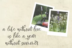 Farmhouse Country Rustic Cursive Font - Free Font of The Week Product Image 6