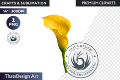 Flower Clipart PNG, Botanical Illustration Floral graphic Product Image 1