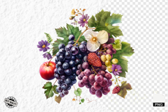 Summer Grapes Vine Clipart Product Image 1