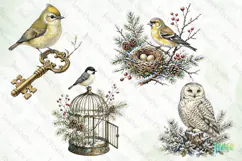 Vintage Winter Bird Clipart Product Image 1