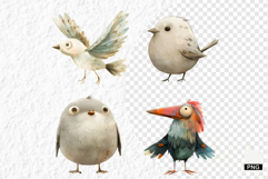 Nursery Summer Birds PNG Clipart Product Image 1