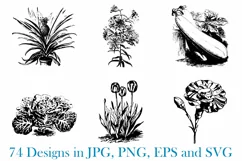 74 Woodcut Vintage Floral and Garden Illustration Collection Product Image 6