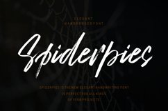 The Authentic Script Font Bundle Product Image 9