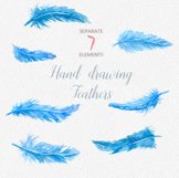 Watercolor Feathers Clipart - Watercolour Feathers, Hand Pai Product Image 3