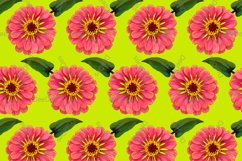 12 Seamless colorful FLOWER patterns bundle. Digital Paper Product Image 13