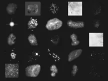 200 STARS MOON TRANSPARENT PNG FILES, PHOTOSHOP OVERLAYS Product Image 9