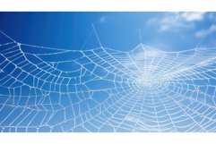 seamless web texture background Product Image 1