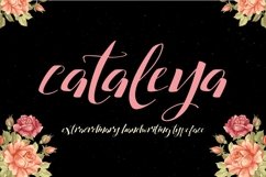 Web Font Cataleya Typeface Full Product Image 1