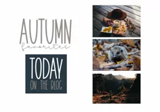 November - A Tall Handwritten Font - Free Font of The Week Product Image 2