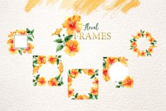Naranja Hibiscus Watercolor png Product Image 6