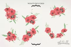 Poppy Flowers 6 Bouquets Watercolor Florals Poppies Red Product Image 4