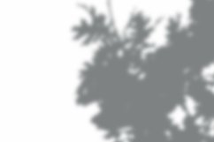 Leaves Shadow Overlay Effect Mockup Product Image 2