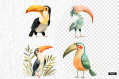 Nursery Summer Birds PNG Clipart Product Image 1