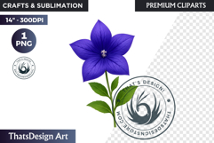 Flower Clipart PNG, Botanical Illustration Floral graphic Product Image 1