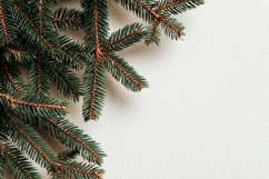 Pine Branches Background, Holiday Background Mockup Product Image 1