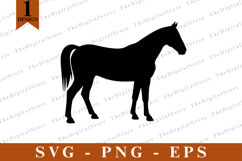Horse SVG, Horse vector, Horse Silhouette, Cut files Product Image 1