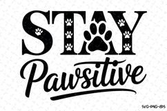 Stay Pawsitive Svg | Svg Cut Files | Digital Download Product Image 1