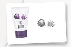 Hand drawn Fruit Collection Product Image 4