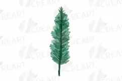 Cotton bolls and fir branch leafy autumn and winter decor Product Image 7