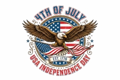 Eagle Flag 4TH JULY Product Image 1