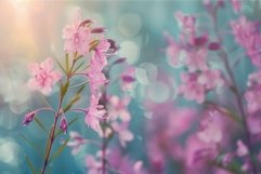 Serene pink flowers at sunset Product Image 1